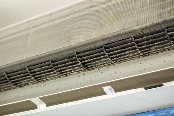 Best HVAC Maintenance and Cleaning  in Mcleansboro, IL
